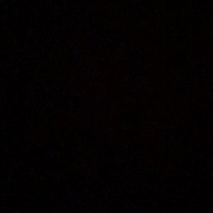 Meet your Posher, Beau